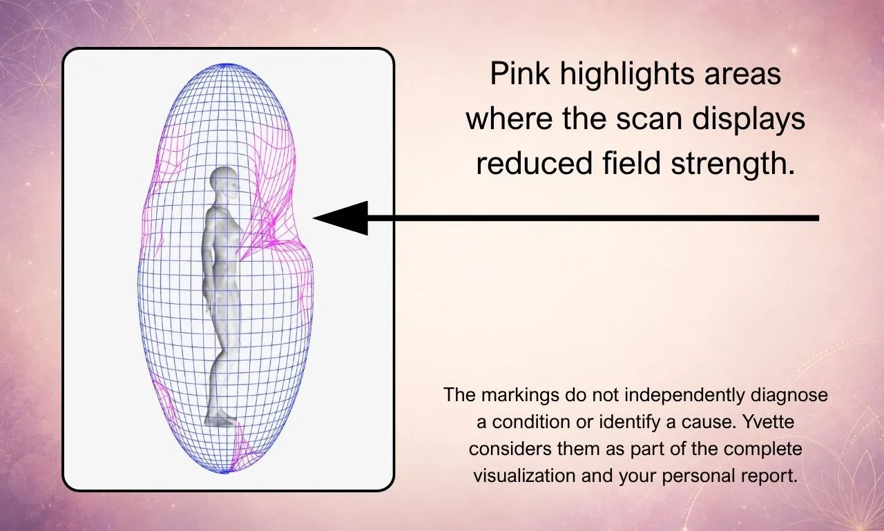 Biofield visualization with a pointer identifying pink areas highlighted by the software as reduced field strength